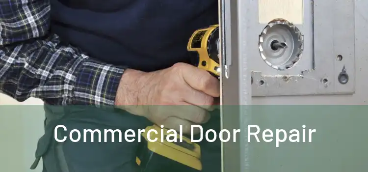 Commercial Door Repair