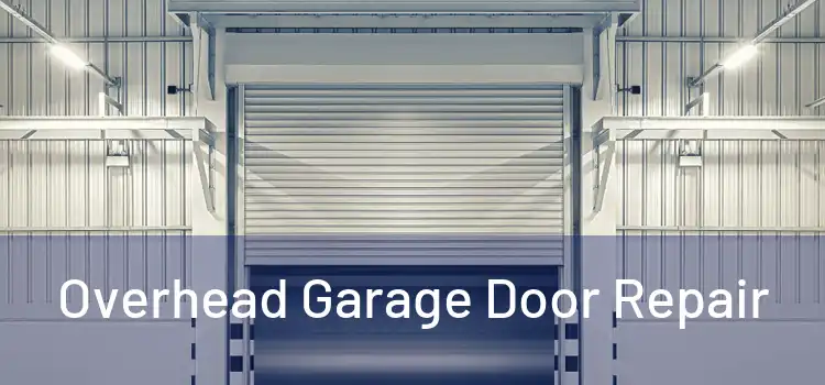  Overhead Garage Door Repair 